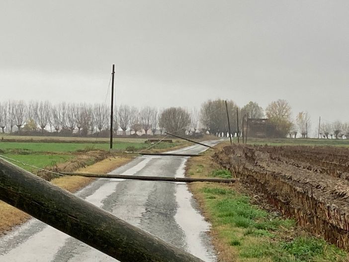 Cavallerleone, il maltempo abbatte pali della rete telefonica