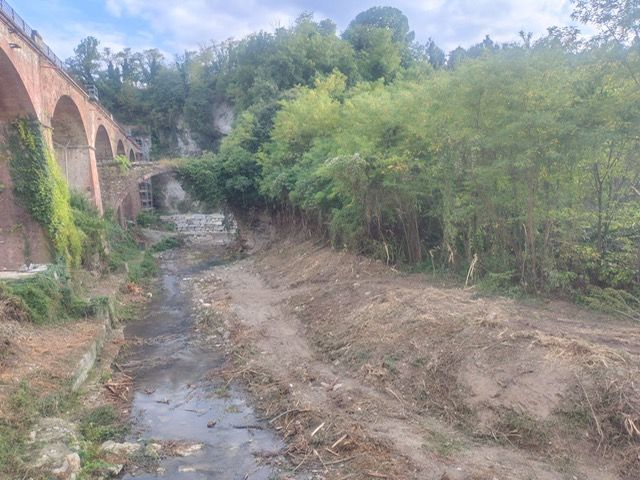 Un piano organico per i corsi d’acqua di Ceva Un piano organico per i corsi d’acqua di Ceva