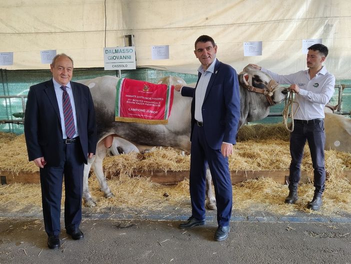 Il campione Junior con il sindaco tallone e l'assessore Pellegrino