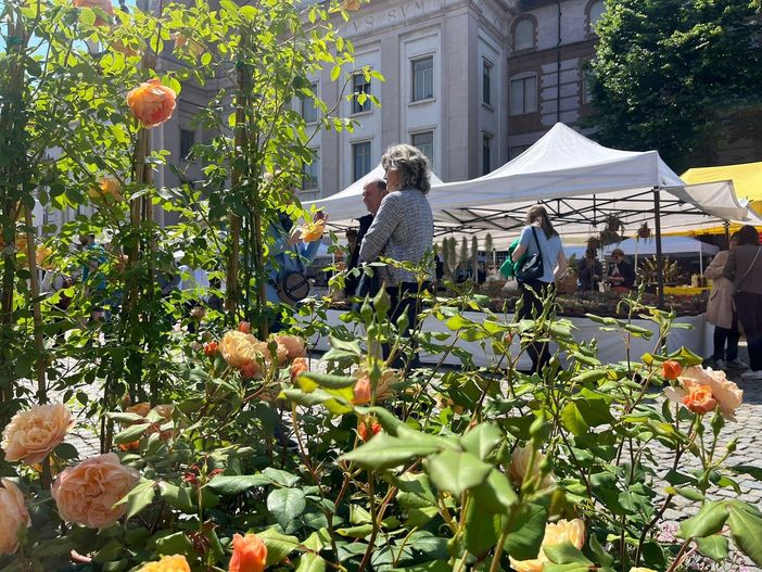 "Clorofilla 2025":  fiori, memoria e comunità. Ad Alba la natura si è fatta gesto d'amore e partecipazione