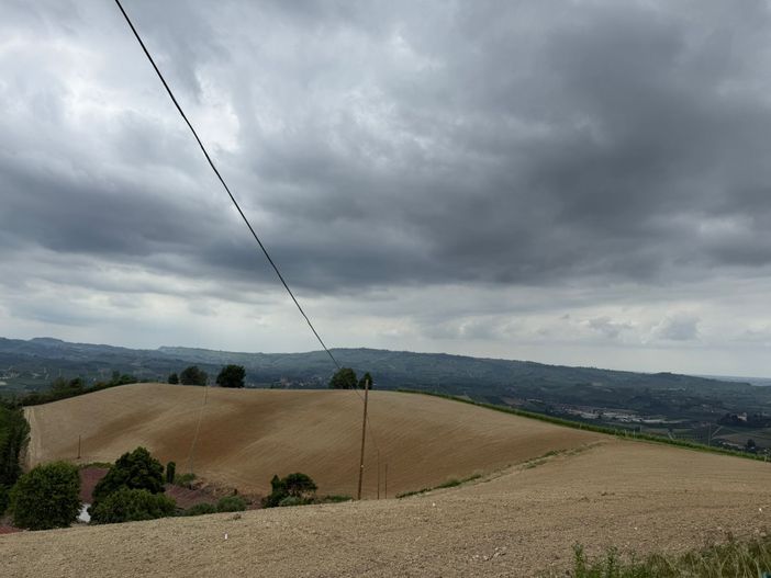 L'area in cui saranno innestati gli ulivi, nei pressi di Santa Rosalia