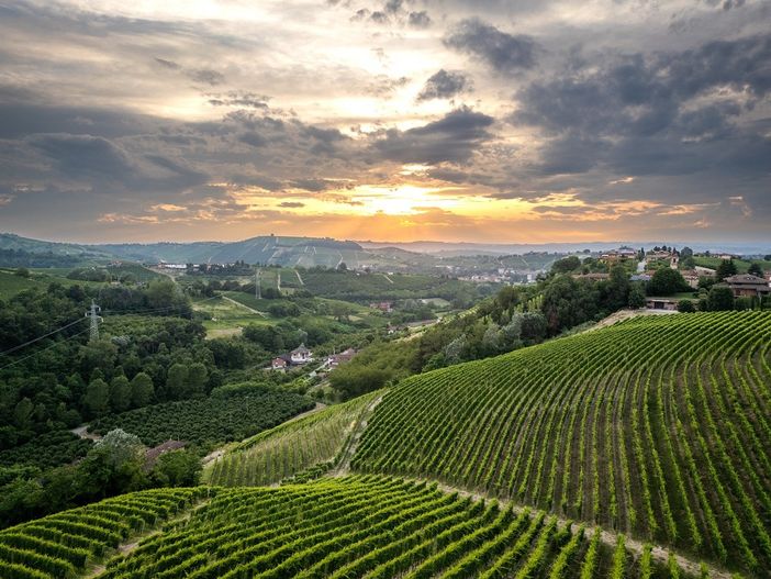 (credits: Lavezzo Studios) (credits: Lavezzo Studios)