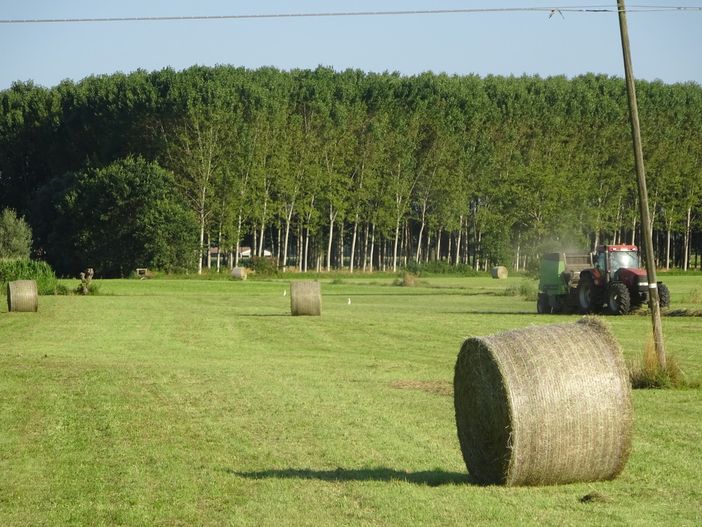 Le balle di fieno: una delle immagini più belle dell’estate