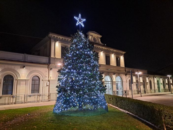 La magnolia della stazione si illumina: il Natale arriva a Bra La magnolia della stazione si illumina: il Natale arriva a Bra