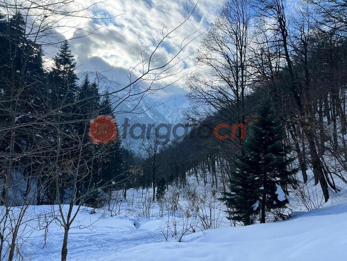 Neve e nuova allerta gialla su tutta la Granda. In Alta Langa attesi fino a 30 centimetri