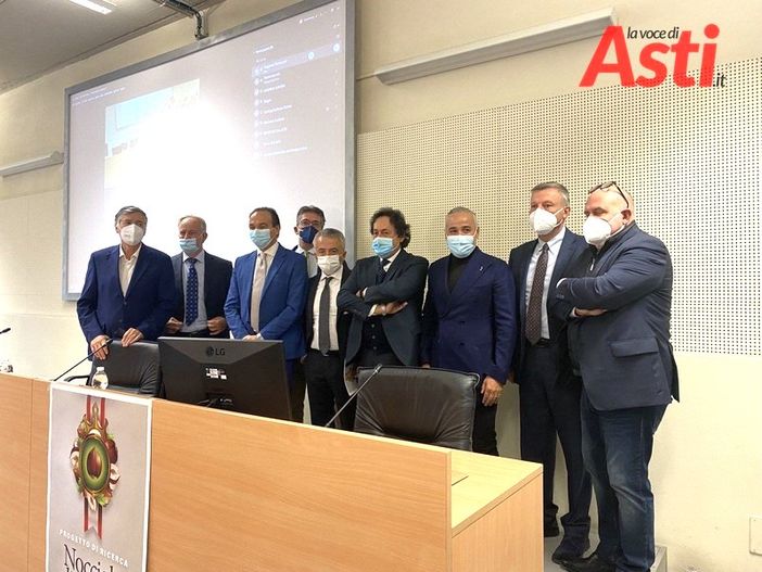 Nocciola Tonda Gentile: un polo da 9mila aziende e 26mila ettari coltivati [VIDEO]