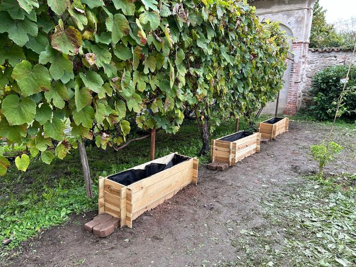 A Ceva gli studenti della scuola primaria si prendono cura dell'orto didattico