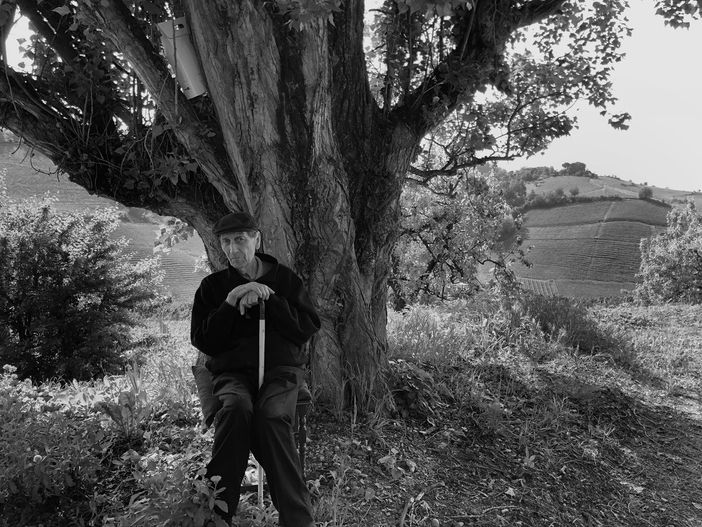 Beppe Colla, grande produttore e innovatore (Foto: Bruno Murialdo)