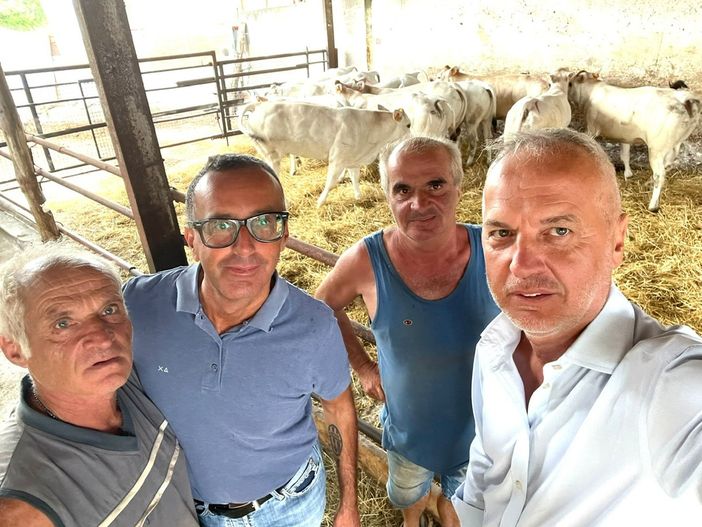 Il Sen. Bergesio, con l'allevatore Giacomino Olivero e suo fratello, e Marco Pedussia, sindaco di Sommariva Bosco.