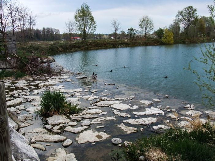 Il disegno in planimetria della diga e dell'area naturalistica con le diverse attività in zona Canale Sarmassa. Il disegno in planimetria della diga e dell'area naturalistica con le diverse attività in zona Canale Sarmassa.