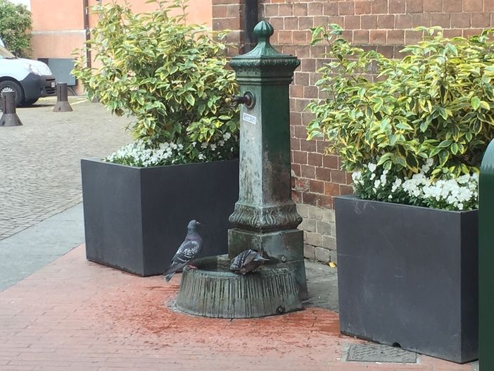 Una delle numerose fontane presenti ad Alba (Foto Gisella Divino) Una delle numerose fontane presenti ad Alba (Foto Gisella Divino)