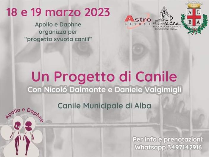 Il Canile di Alba ospita il "Progetto di Canile" per capire il metodo giusto di adozione