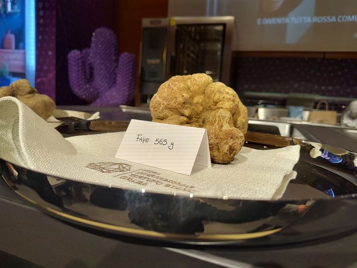 Farinél / Con il tartufo sotto l’albero, ma soprattutto con l’albero sopra al tartufo Farinél / Con il tartufo sotto l’albero, ma soprattutto con l’albero sopra al tartufo