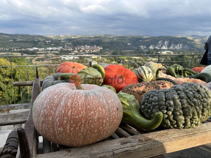 Record di visitatori alla Fiera della Zucca di Piozzo [FOTO]