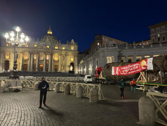 Oggi l'accensione dell'albero di Natale donato dal Piemonte a Papa Francesco