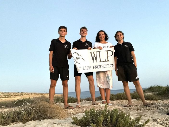 Wild Life Protection: dal gruppo di attivisti albesi un impegno concreto a favore dell’ambiente Wild Life Protection: dal gruppo di attivisti albesi un impegno concreto a favore dell’ambiente