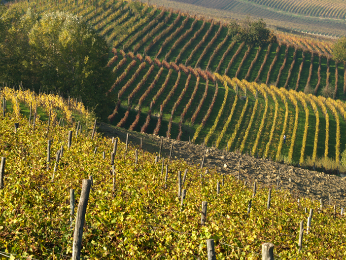 Ultimo incontro all’Osservatorio Martini &amp; Rossi di Santo Stefano Belbo