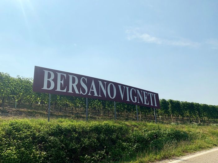 Vigneti Bersano a Serralunga d'Alba (Fb)