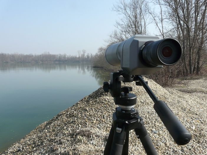 Parco del Monviso, realizzato il censimento degli uccelli acquatici: Germano Reale e Alzavola le specie più presenti