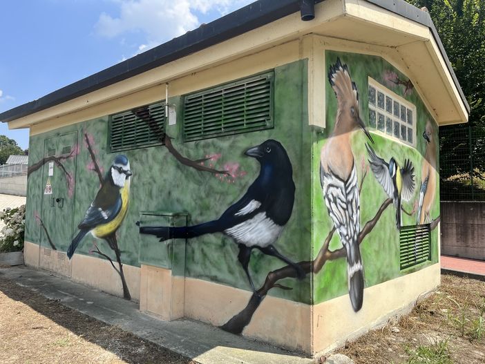 A Sommariva Perno il murales dedicato alla natura sulla cabina E-Distribuzione