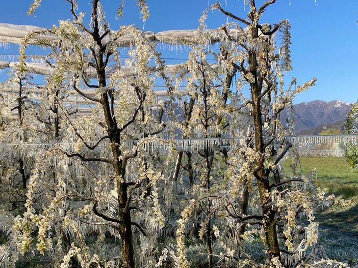 Immagine di repertorio