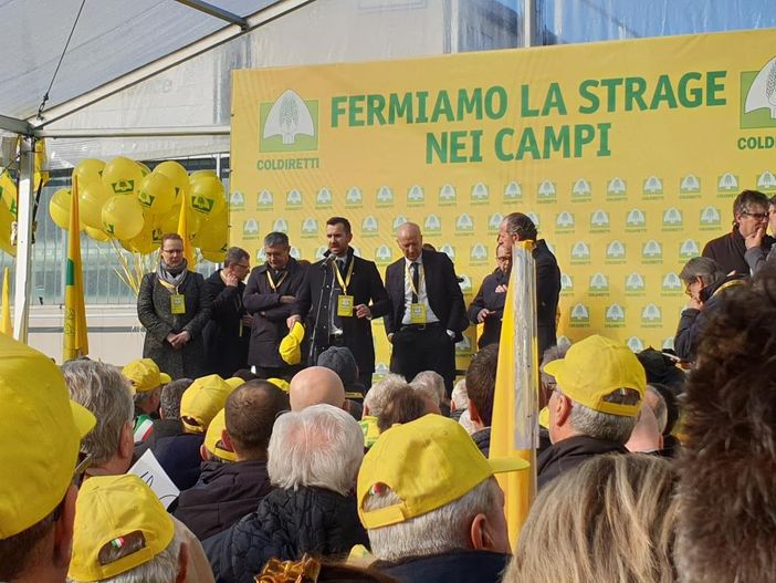 Cimice asiatica: una vera emergenza per l'agricoltura. Coldiretti chiede una task force e misure di prevenzione