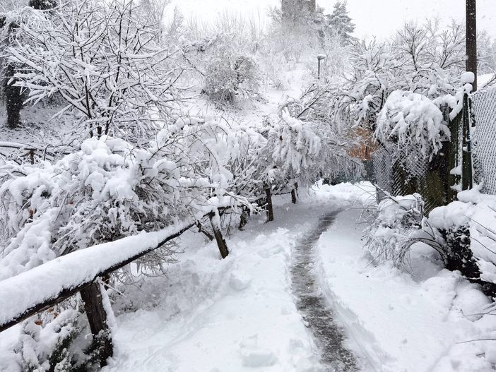 Quaranta (Acda): "Questa neve è preziosa, ma l'allarme resta alto"