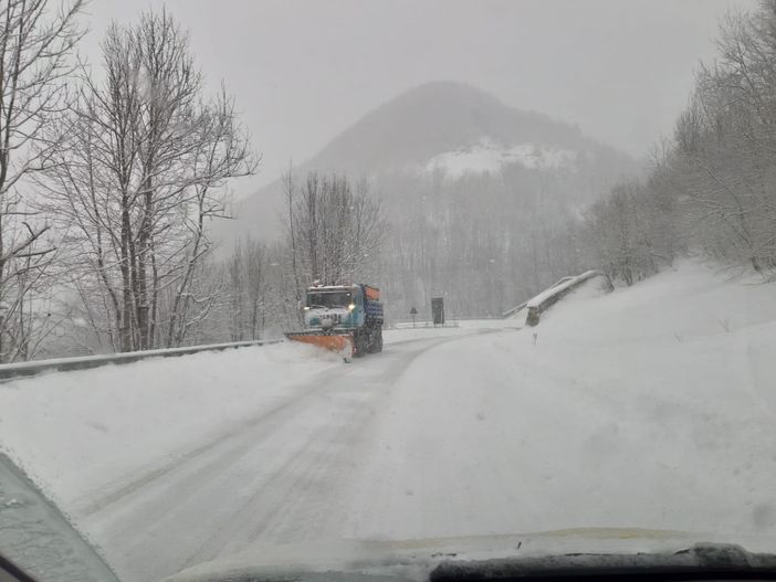 Immagine di repertorio