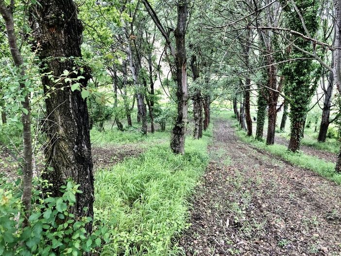 Immagini di repertorio Immagini di repertorio