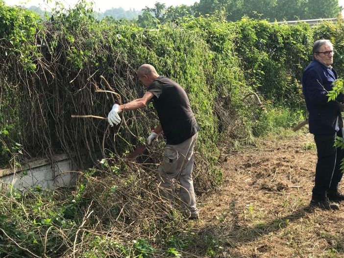 Nelle foto i volontari braidesi intenti nelle opere di bonifica, presso il pilone del vecchio ponte albertino, a Pollenzo