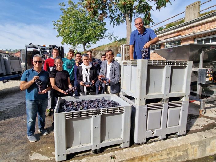 "Si svigna": vendemmia dentro le mura del carcere albese con la Scuola enologica