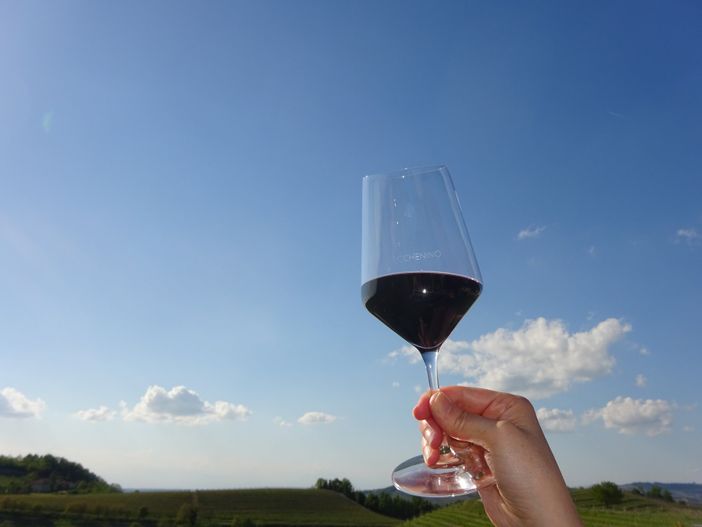 Nuovo codice della strada, Go Wine: “Valorizzare il consumo del vino moderato e consapevole”