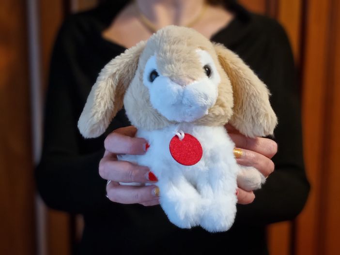 Capodanno Cinese: il 22 gennaio inizia l’anno del coniglio