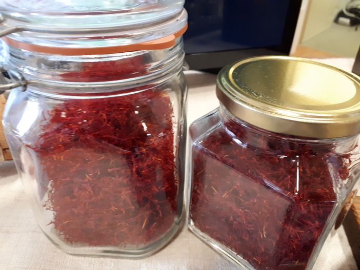 Magliano Alfieri fa festa allo zafferano e ne porta in tavola le proprietà benefiche