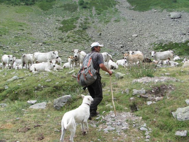 Coldiretti Cuneo chiede rispetto e tutela per l'agricoltura e la pastorizia