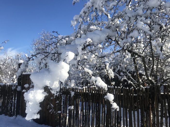 Un po' di neve in pianura e crollo delle temperature, con gelate estese e nebbie Un po' di neve in pianura e crollo delle temperature, con gelate estese e nebbie