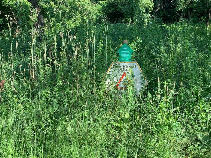 "Quanta incuria al parco di San Cassiano ad Alba"