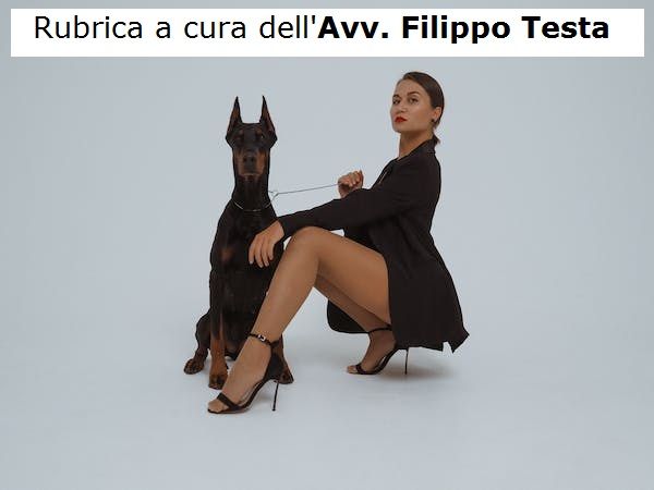 Nessuno tocchi il mio cane Nessuno tocchi il mio cane