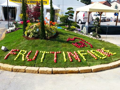 A Lagnasco conto alla rovescia per Fruttinfiore: evento al via il 5 aprile A Lagnasco conto alla rovescia per Fruttinfiore: evento al via il 5 aprile