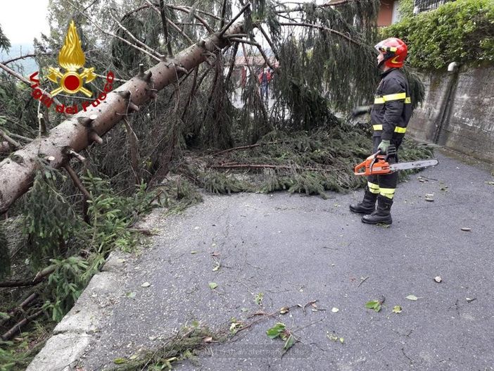 Torna l'allerta gialla sulla provincia di Cuneo: rischio di allagamenti, piccole frane e caduta di alberi