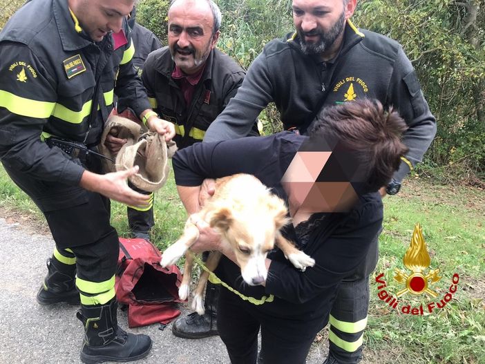 Mango, cane finisce in un dirupo: lo recuperano i vigili del fuoco