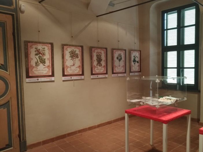 Alcune foto della mostra