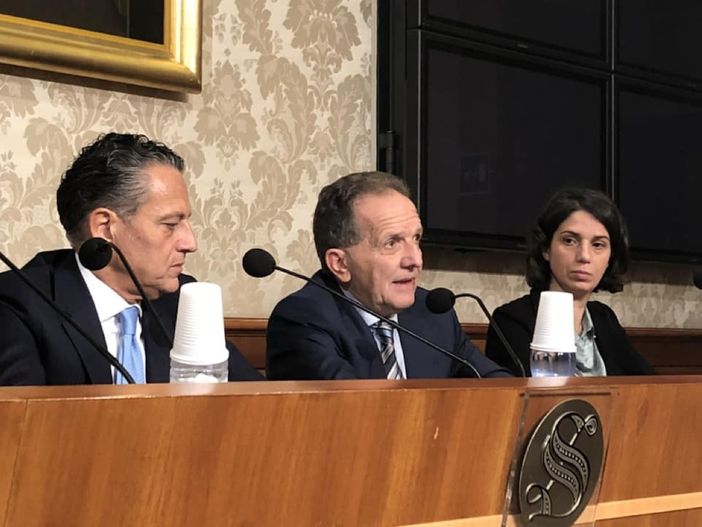 Il senatore di Forza Italia Marco Perosino