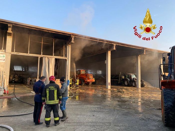 Incendio cascina nella notte a Caramagna Piemonte, dieci vitelli morti
