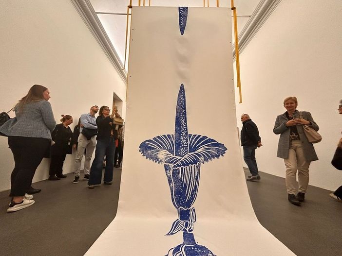 Ode alla pittura con la mostra Sensing Painting: la Collezione della Fondazione CRC arriva al Castello di Rivoli [FOTO]