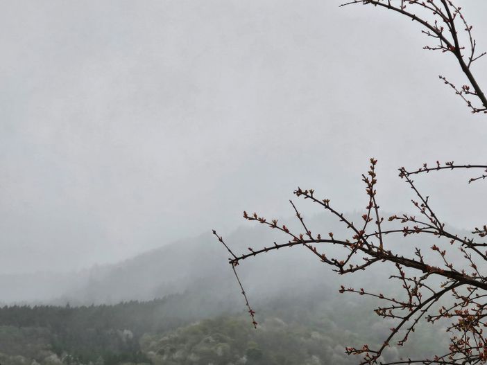 Temperature in picchiata: minime localmente inferioriori allo zero e possibili gelate Temperature in picchiata: minime localmente inferioriori allo zero e possibili gelate