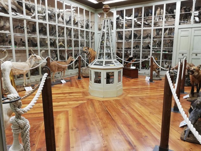 Tanti appuntamenti per famiglie ai musei di Bra