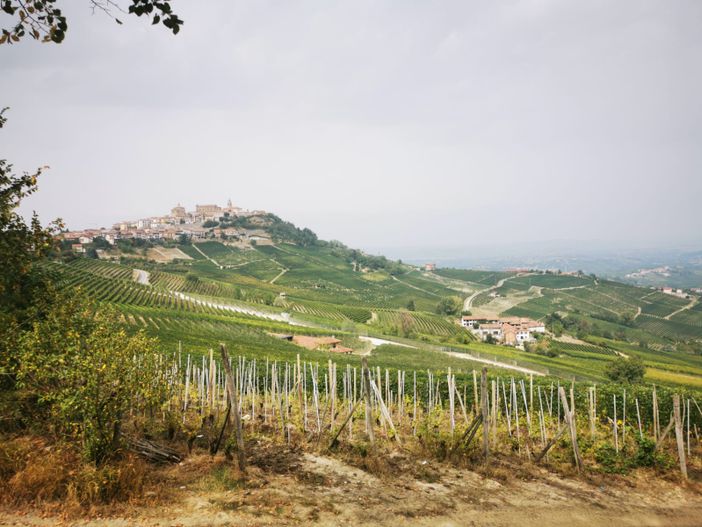 Tornano le “Passeggiate Gourmet” di Confartigianato Cuneo, tra “turismo slow” e imprese artigiane eccellenti Tornano le “Passeggiate Gourmet” di Confartigianato Cuneo, tra “turismo slow” e imprese artigiane eccellenti