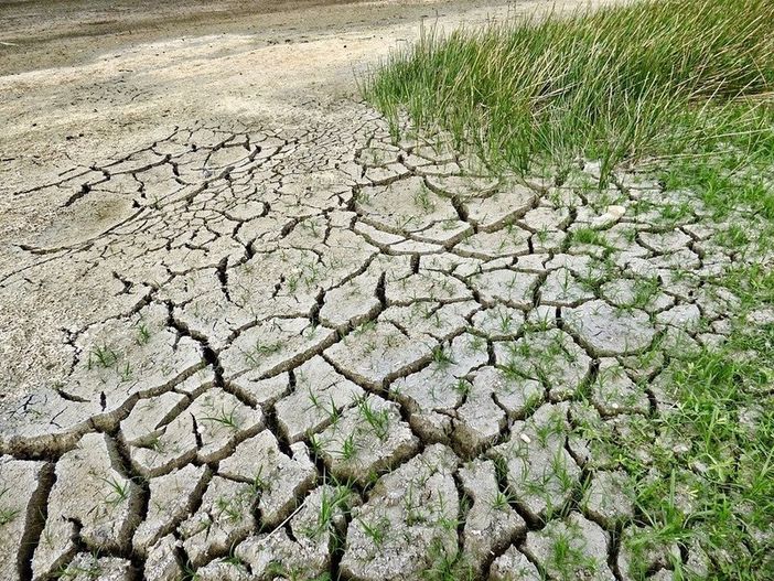 Agricoltura, nuove strategie ed investimenti in Piemonte per la risorsa idrica