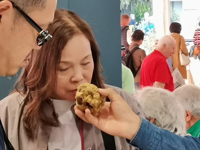 Nominato il comitato scientifico del Centro Nazionale Studi Tartufo Nominato il comitato scientifico del Centro Nazionale Studi Tartufo